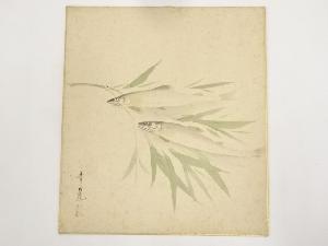 諸永青晁筆　鮎図　肉筆色紙